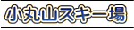 ���ێR�X�L�[��
